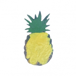 Magnet ANANAS